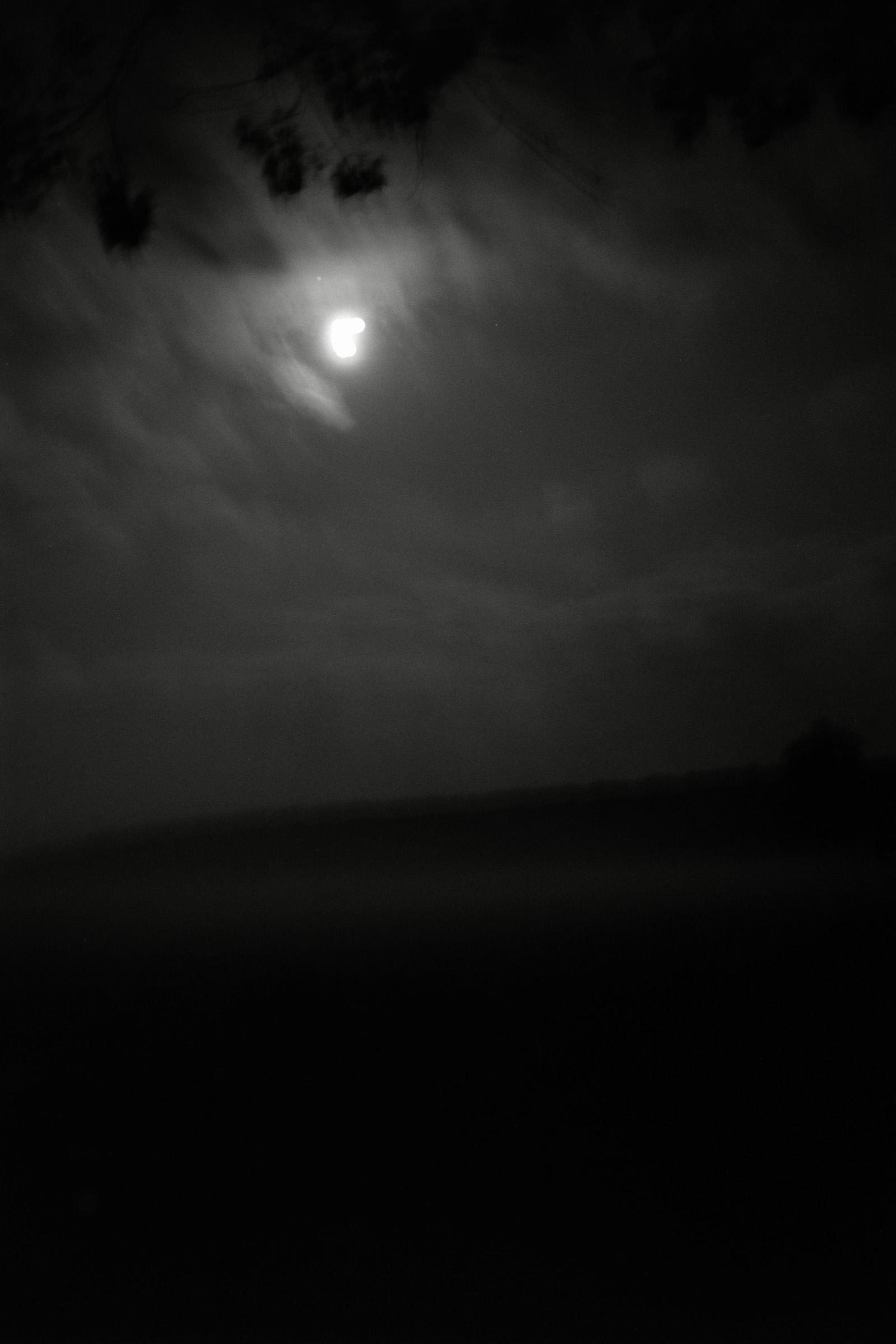 AHP F1990 09 006 sc250506 img32 NLP